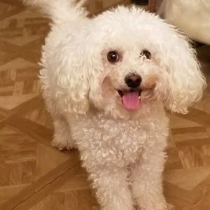 Meet your Posher, Leidy